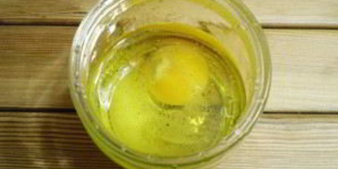 Рецепт домашнего майонеза на курином яйце с чесноком и зеленью