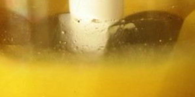 Рецепт майонеза на перепелиных яйцах