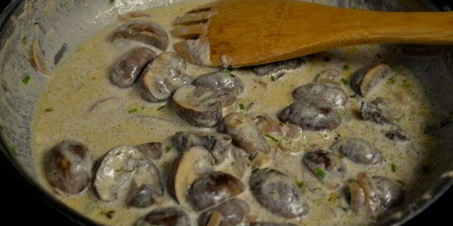 Рецепт грибного соуса