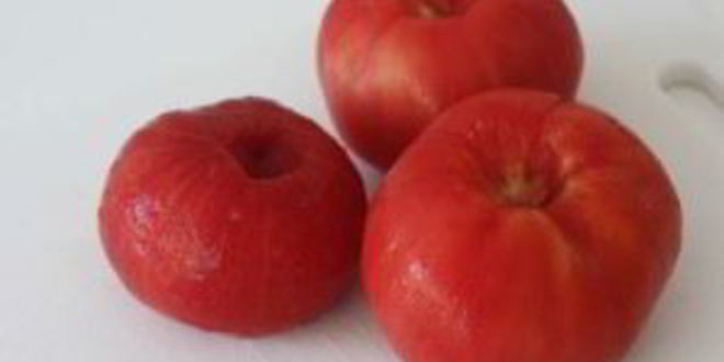 Рецепт домашнего кетчупа на зиму