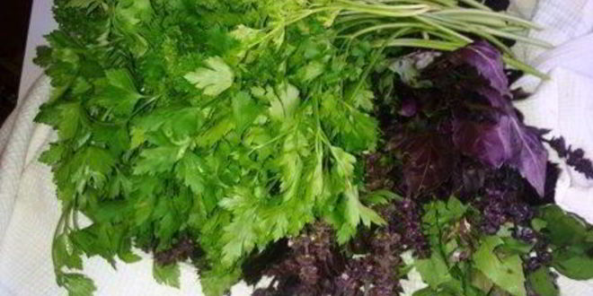 Рецепт кетчупа домашнего пряного