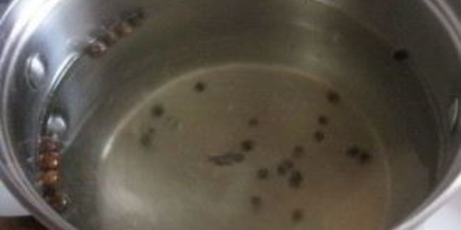 Рецепт быстрого маринада для капусты