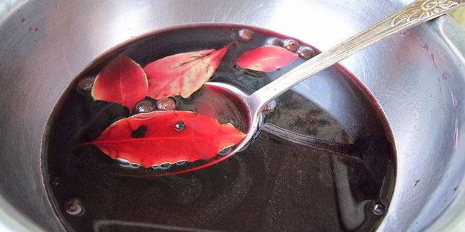 Рецепт пастромы из куриной грудки в винном маринаде