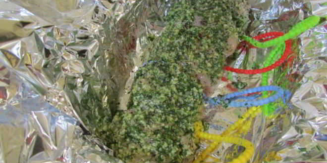 Рецепт филе индейки с соусом песто из укропа