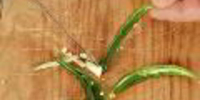 Рецепт дипов для чипсов