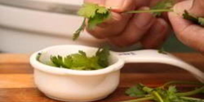 Рецепт свежего соуса сальса