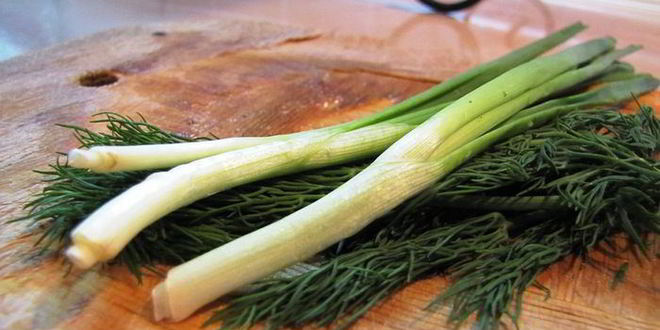 Рецепт соуса тартар с солеными огурчиками