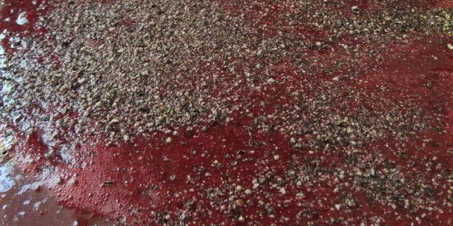 Рецепт грузинского соуса ткемали