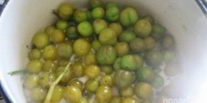 Рецепт соуса ткемали из зеленых слив