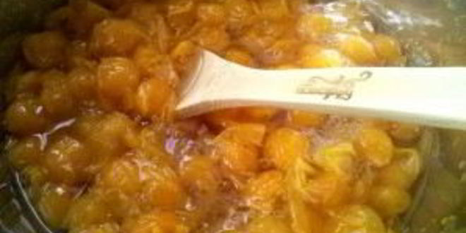 Рецепт соуса ткемали из желтой алычи