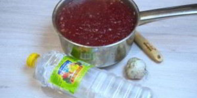 Рецепт соуса ткемали с синей сливой