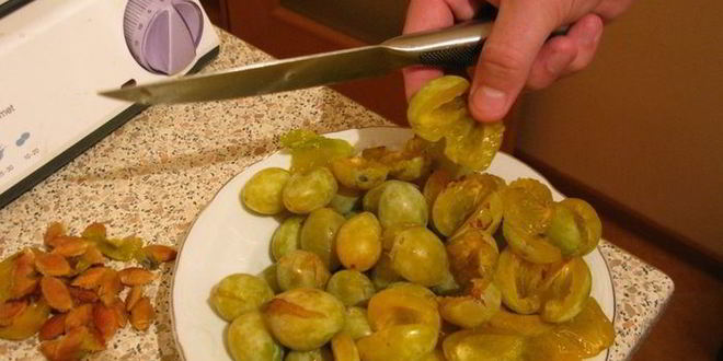 Рецепт ткемали из дачных слив