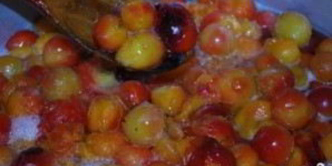 Рецепт ткемали из слив на зиму