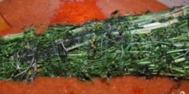 Рецепт ткемали из слив на зиму