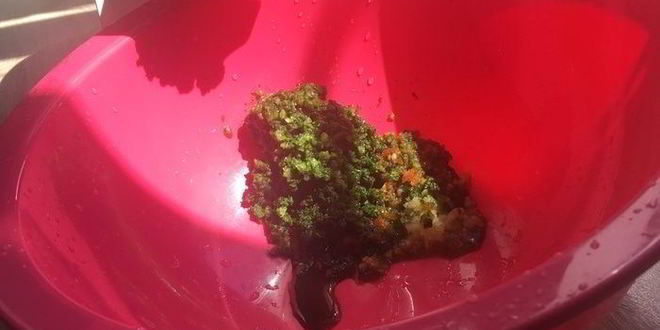 Рецепт ткемали