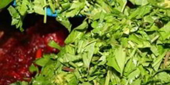 Рецепт заправки для борща