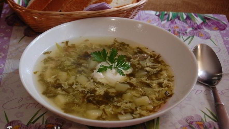 Рецепт зеленого борща