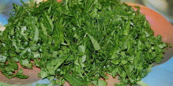 Рецепт зеленого борща