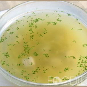 Рецепт Бульона из грудки