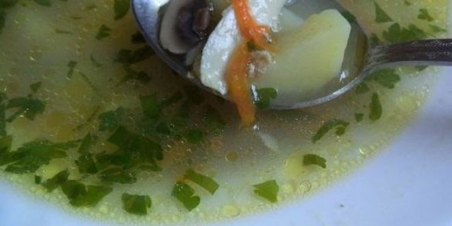 Рецепт грибного супа на курином бульоне