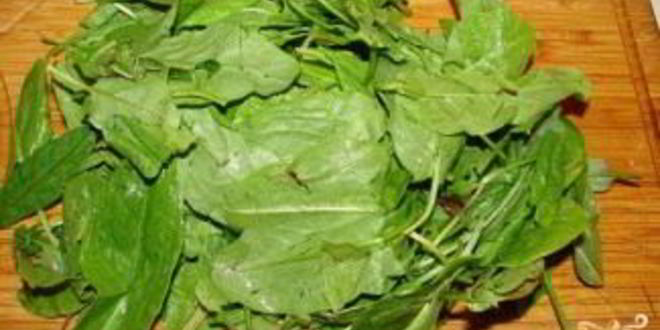 Рецепт щавеля на курином бульоне