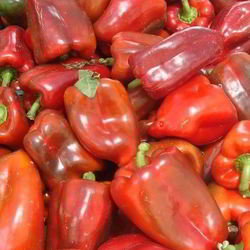 Рецепт Гаспачо по-питерски