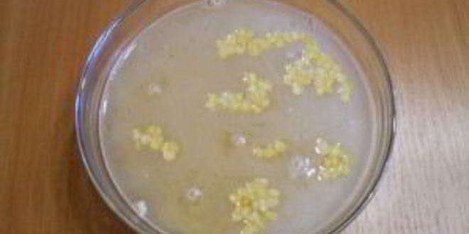 Рецепт горохового супа с курицей в мультиварке