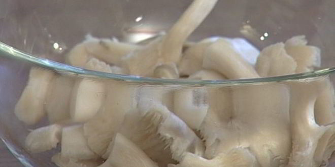 Рецепт холодного супа-пюре из петрушки