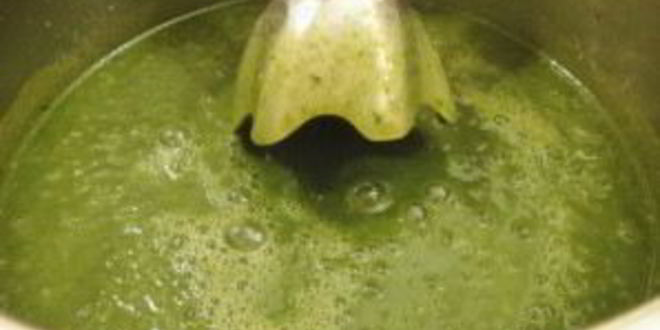 Рецепт крема-супа из петрушки