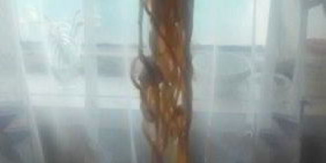 Рецепт лагмана с тянутой лапшой