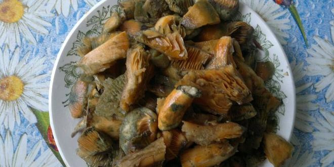 Рецепт молочного супа с рыжиками