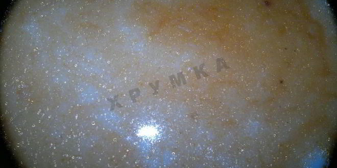 Рецепт молочного супа с рыжиками