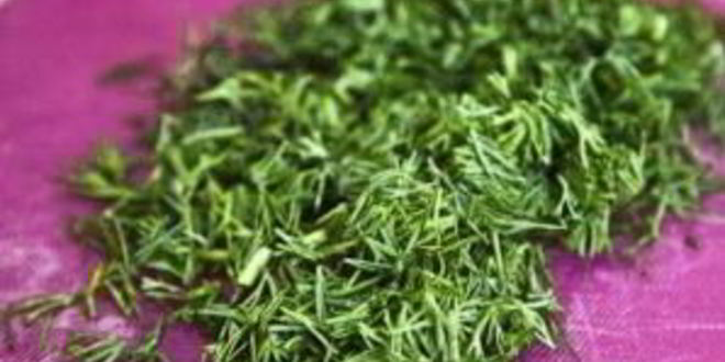 Рецепт окрошки на квасе