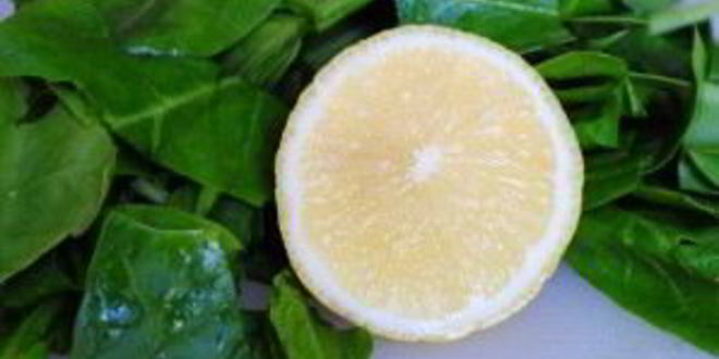 Рецепт овощного супа с сельдереем