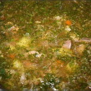 Рецепт Похлебки русской