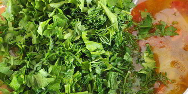 Рецепт летних щей из свежей капусты