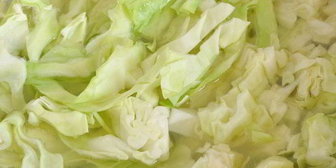 Рецепт летних щей из свежей капусты