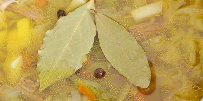 Рецепт летних щей из свежей капусты