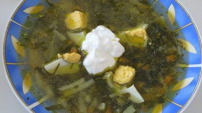 Рецепт Щей из щавеля на курином бульоне