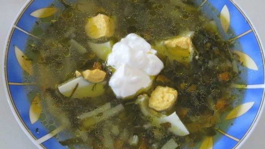 Рецепт щей из щавеля на курином бульоне