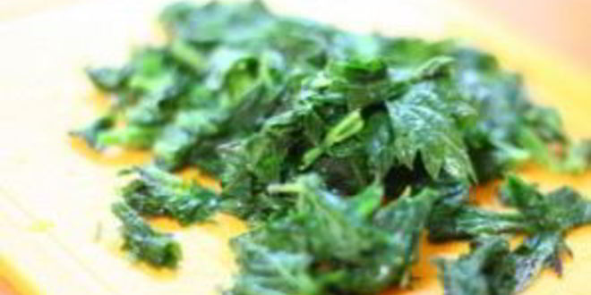 Рецепт щей из щавеля с крапивой