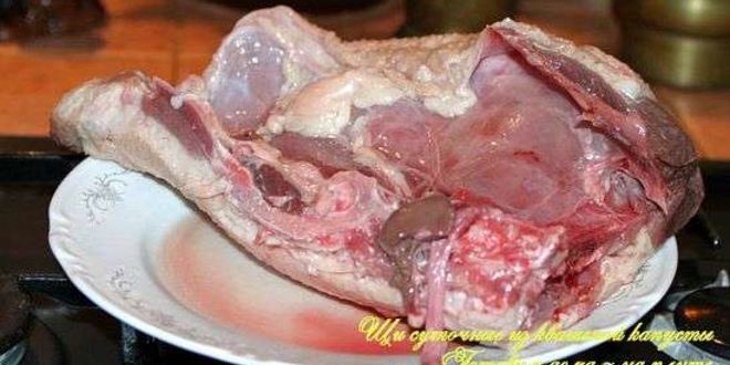 Рецепт щей суточных из квашенной капусты