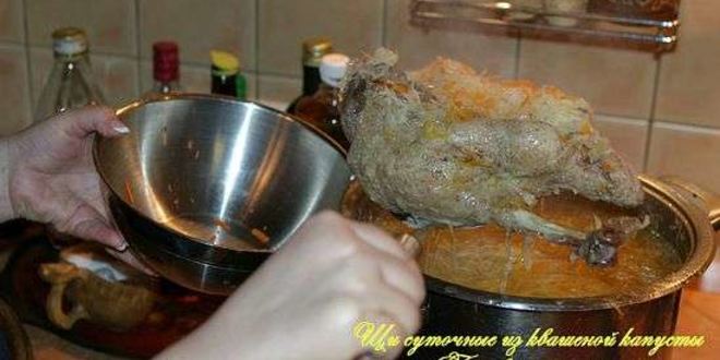 Рецепт щей суточных из квашенной капусты