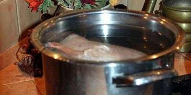 Рецепт щей суточных из квашенной капусты