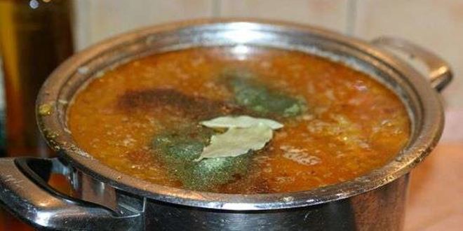 Рецепт щей суточных из квашенной капусты