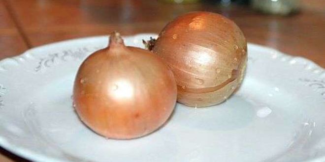 Рецепт щей суточных из квашенной капусты