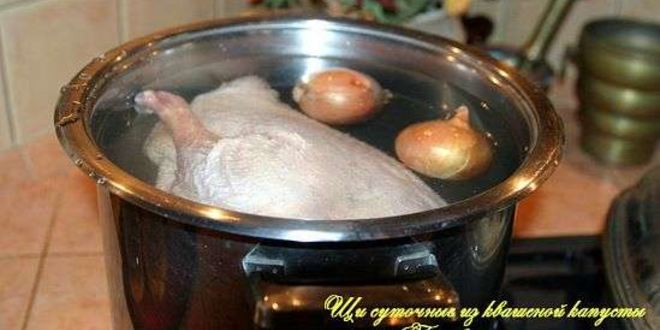 Рецепт щей суточных из квашенной капусты