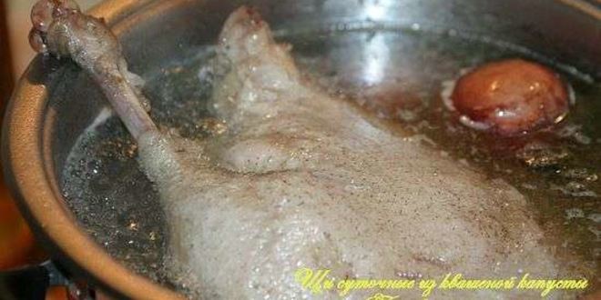 Рецепт щей суточных из квашенной капусты