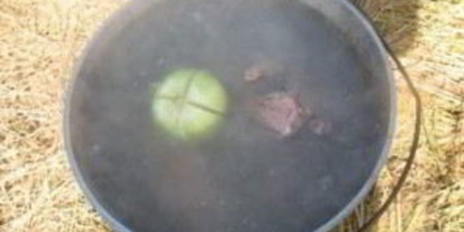 Рецепт шурпы из дикой утки