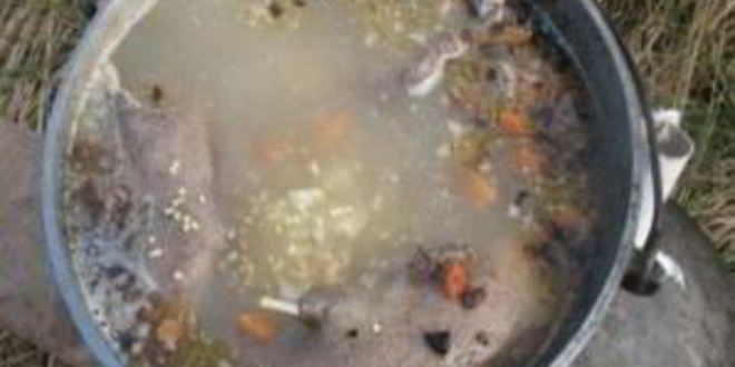 Рецепт шурпы из дикой утки